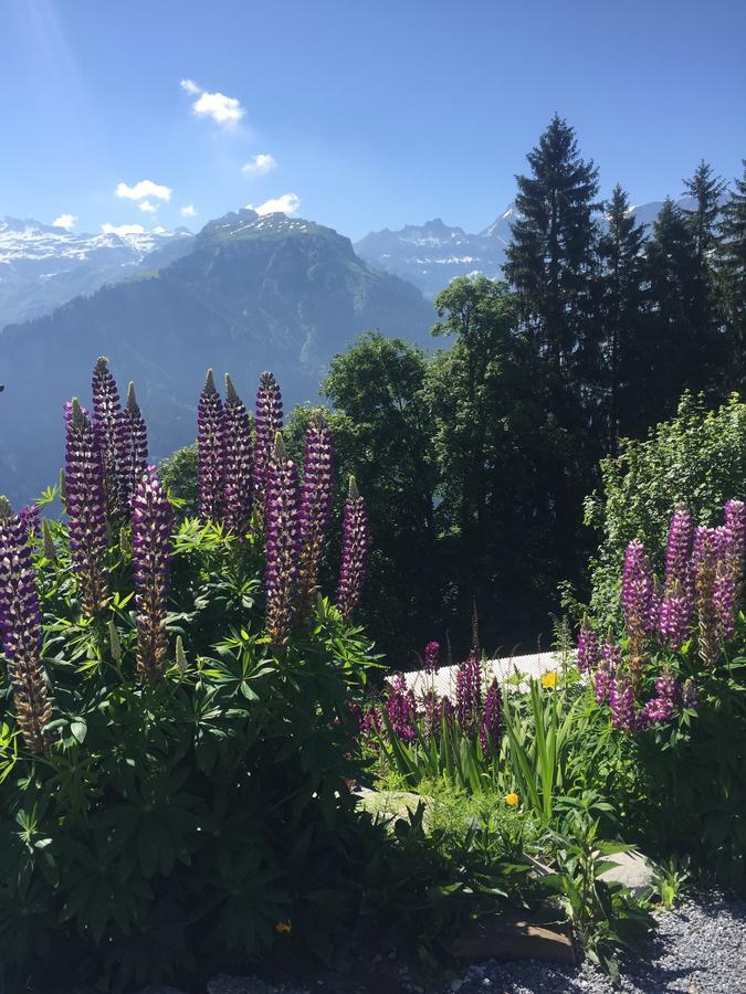 Hotel & Restaurant Stadthof Glarus Zewnętrze zdjęcie
