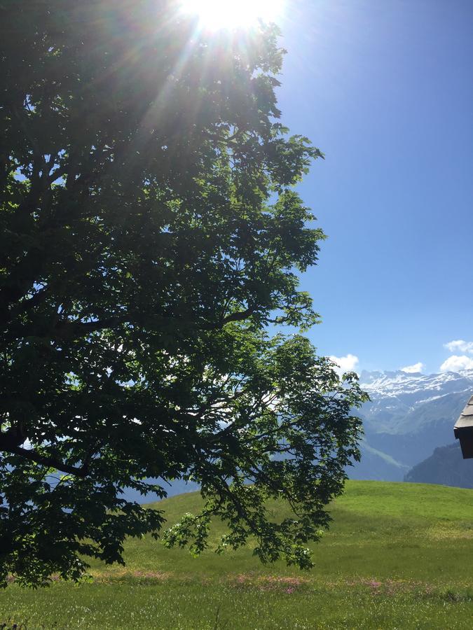 Hotel & Restaurant Stadthof Glarus Zewnętrze zdjęcie